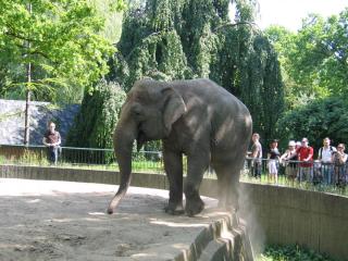 IMG_2295.jpg