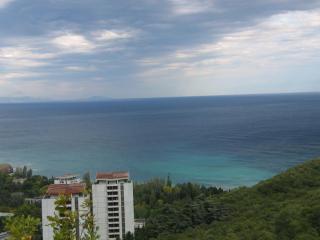 IMG_3350.jpg