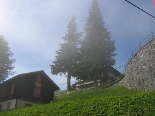 IMG_8020.jpg