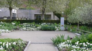 P1060050.JPG