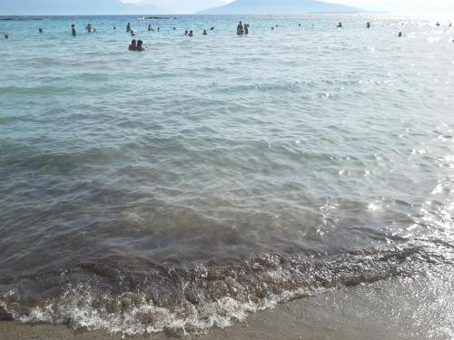 20140821_160802.jpg