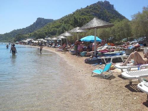20140817_125244.jpg