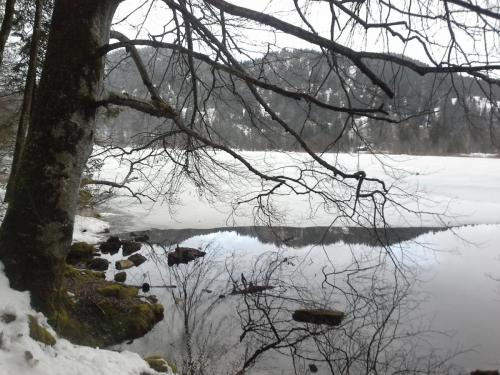 20150104_100753.jpg