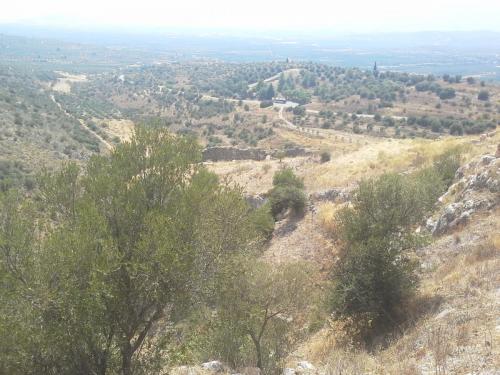 20140820_140547.jpg