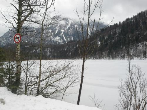 20150104_103548.jpg