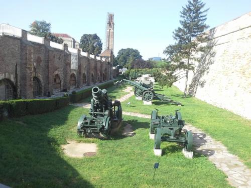 20140814_085100.jpg
