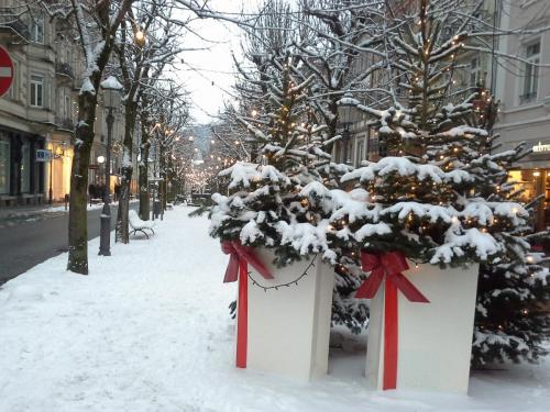 20141231_161747.jpg