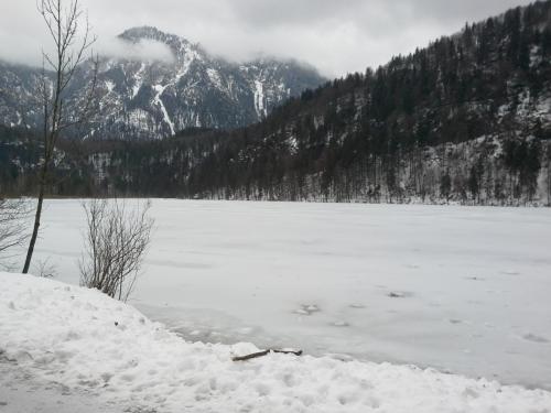 20150104_103530.jpg