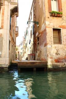 IMG_9855.JPG