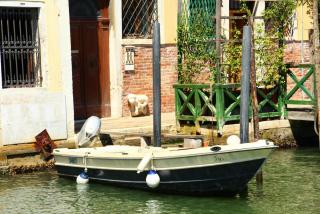IMG_9685.JPG