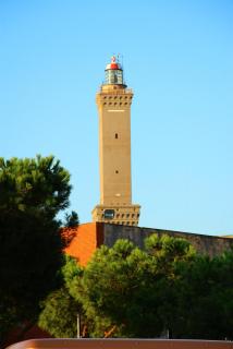 IMG_9434.JPG