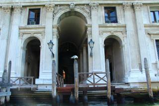 IMG_9839.JPG