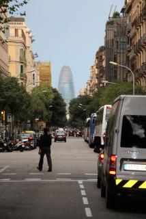 IMG_7802.JPG