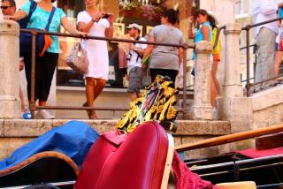 IMG_9801.JPG