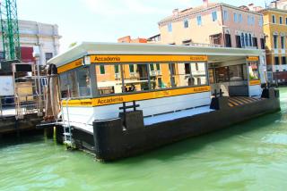 IMG_9732.JPG