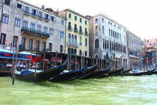 IMG_9831.JPG
