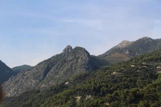 IMG_9339.JPG