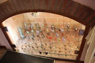 IMG_8556.JPG