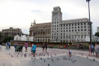 IMG_7925.JPG