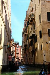 IMG_9856.JPG