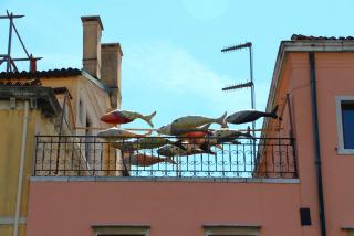 IMG_9583.JPG