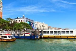 IMG_9782.JPG