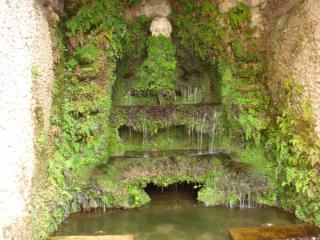 DSC04481.JPG