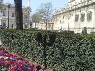 20140319_150349.jpg