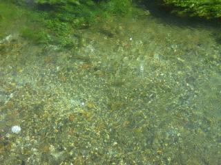 20140612_132932.jpg