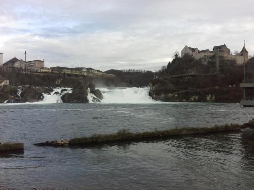20141212_151859.jpg