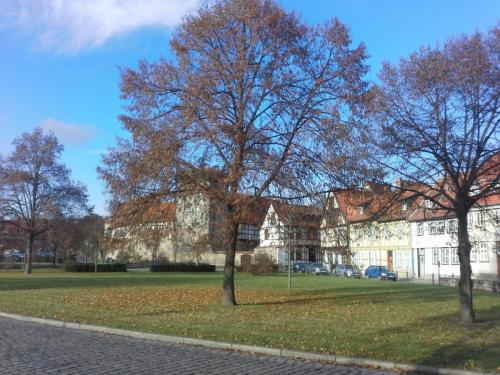 20141208_121054.jpg