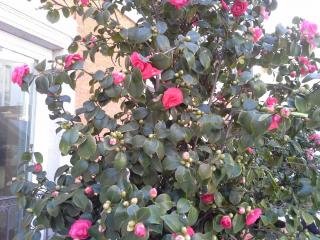 20140317_165913.jpg