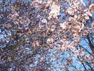 DSC04341.JPG
