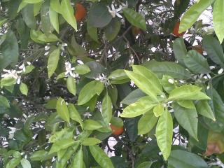20140319_121935.jpg