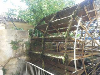 20140612_131157.jpg