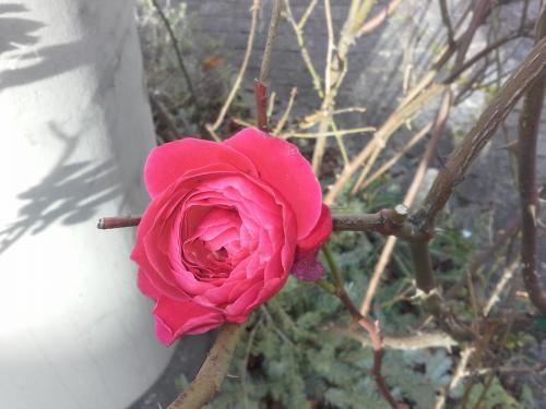 20141214_123347.jpg