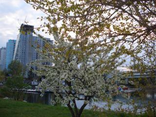 DSC04303.JPG