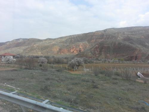 20150324_130628.jpg