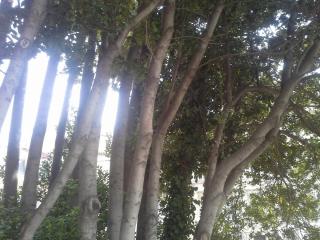 20140610_181951.jpg