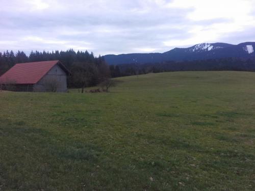 20141214_134125.jpg