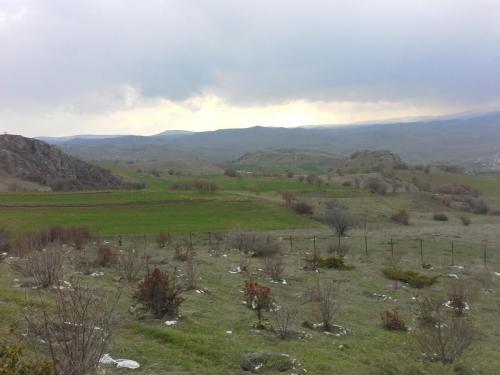 20150324_163201.jpg