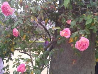 20140319_125518.jpg