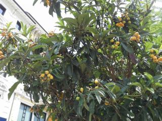 20140606_141318.jpg