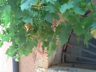 20140612_185025.jpg
