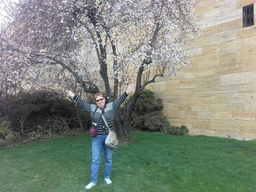 20150324_111756.jpg