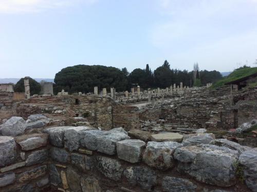 20150328_093743.jpg