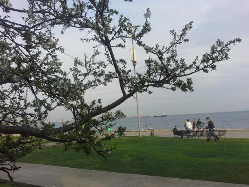 20150329_181756.jpg