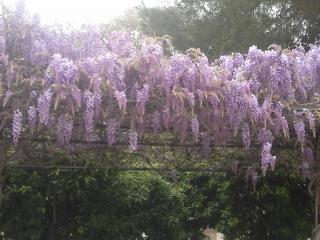 20140319_122519.jpg