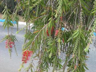 20140320_152308.jpg