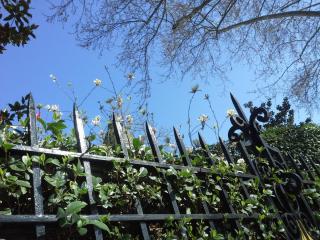 20140317_184722.jpg